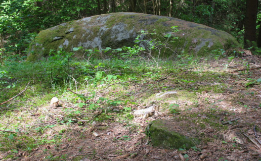 5_Martyno akmuo 2.jpg